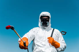 Best Fumigation Services  in Bull Shoals, AR